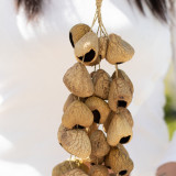 Coquilles de graines de Pangi moyennes - Saupoudreur de noix naturel (30 coquilles)