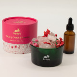 Coffret diffuseur Hop Hare Cristaux et Fleurs - Les Amoureux