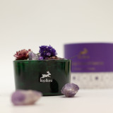 Coffret diffuseur Hop Hare Cristaux et Fleurs - La Lune