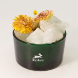 Coffret diffuseur Hop Hare Cristaux et Fleurs - Le Lion