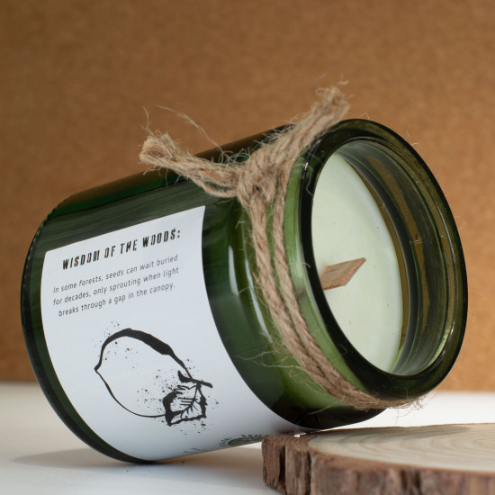 Bougie de soja Greenman Woodwick - Résine de forêt
