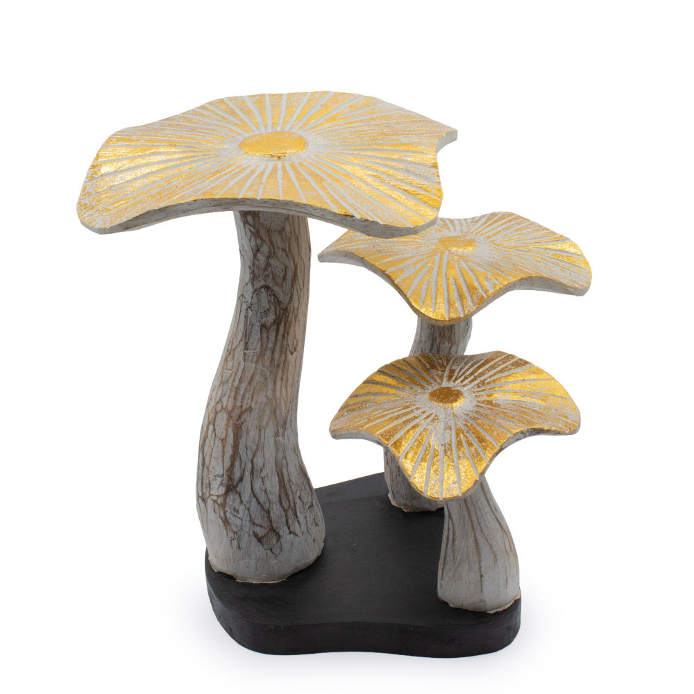 Champignon doré moyen - 25 cm - Blanchi