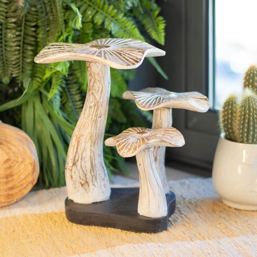 Champignon doré moyen - 25 cm - Blanchi