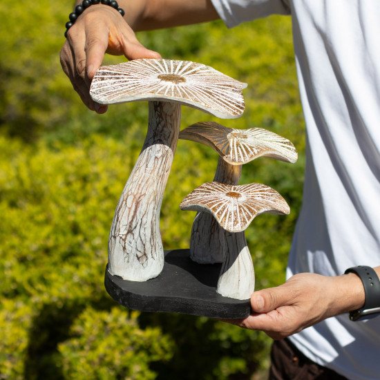 Champignon doré moyen - 25 cm - Blanchi