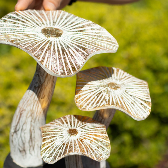 Champignon doré moyen - 25 cm - Blanchi