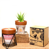 Bougie Jardin d'Herbes Agnes + Cat - Clou de Girofle