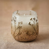Bougies en pot de verre moyen - Wildlight Woods
