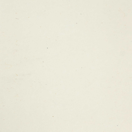 Paquet de 30 feuilles de papier kraft Lokta A4 - 20 g/m² - Uni