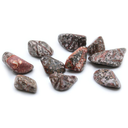 Lot de 24 pierres polies L - Jasper peau de léopard L