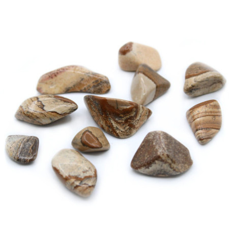 Lot de 24 pierres polies - Pierre du désert du Kalahari