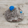 Cavensite avec métriques 30-40 mm