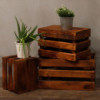 Lot de 3 boîtes de rangement/présentation - Marron