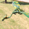 Mobile Dragon Noix de Coco Verte 37cm