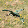 Mobile Dragon Noix de Coco Verte 37cm