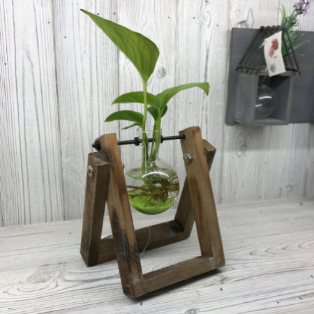 Décoration intérieure hydroponique - Support en bois pour un pot