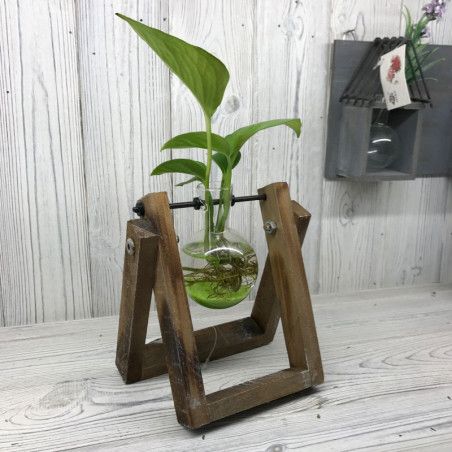 Décoration intérieure hydroponique - Support en bois pour un pot