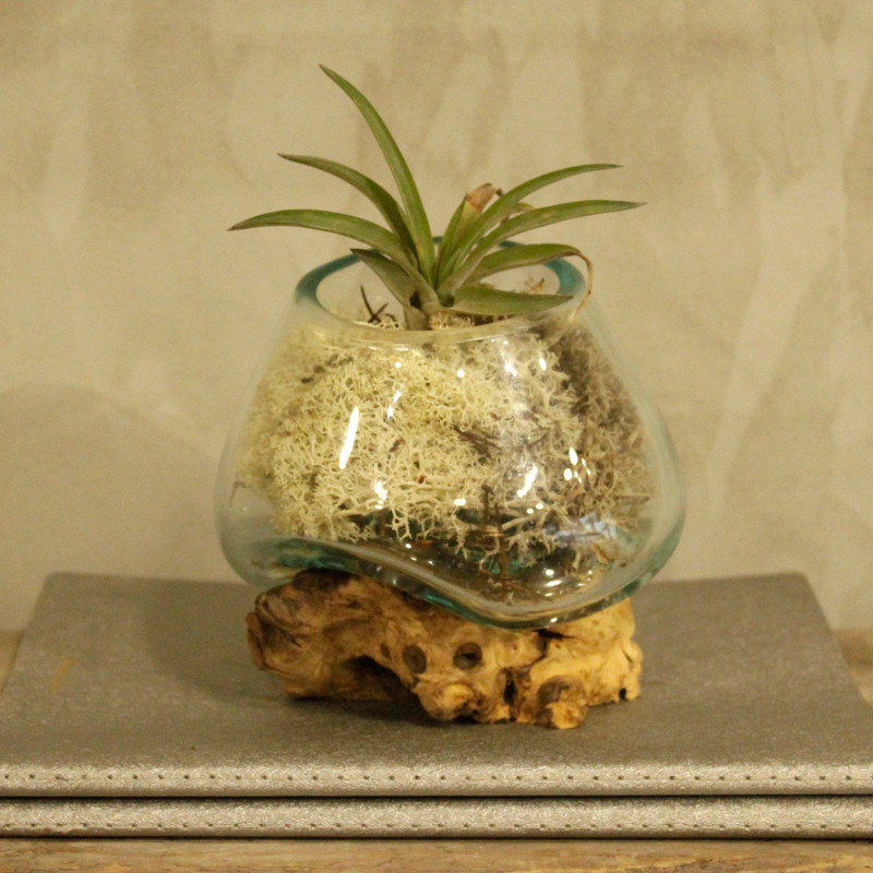 Verre fondu sur bois - Petit bol