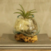 Verre fondu sur bois - Petit bol