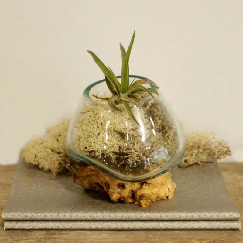 Verre fondu sur bois - Petit bol