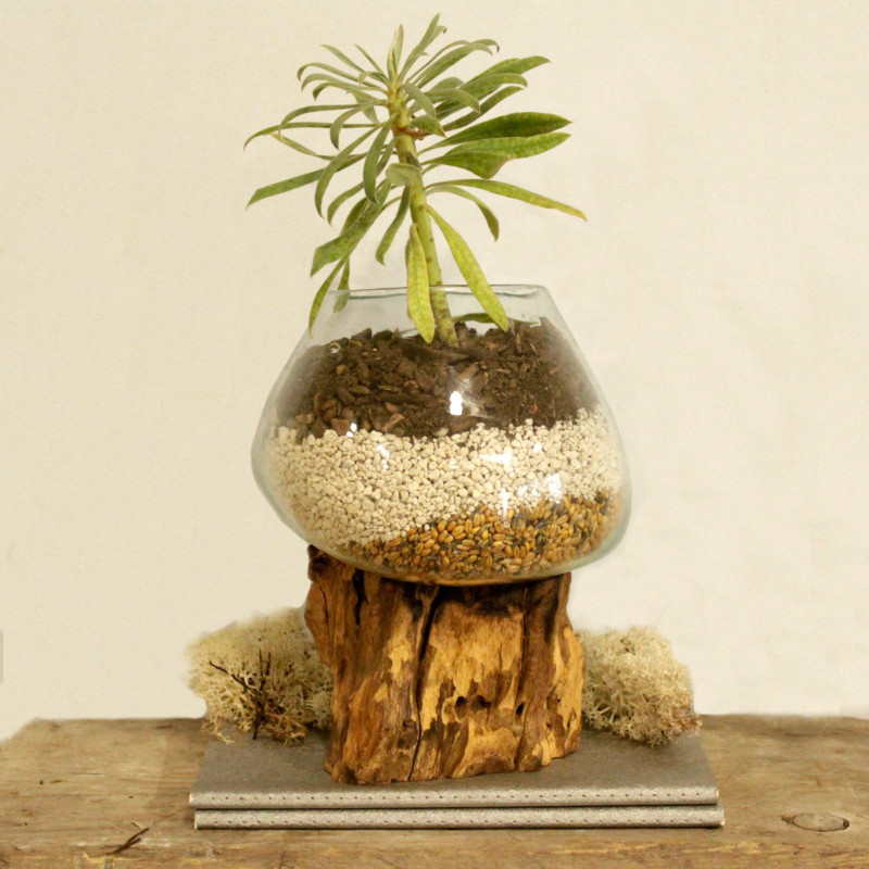 Verre fondu sur bois - Grand bol