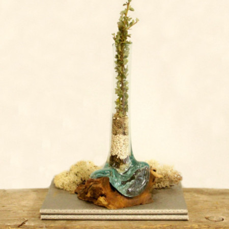 Verre fondu sur bois - Vase