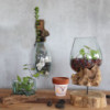 Verre fondu sur bois - Bol suspendu