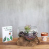 Verre fondu sur bois - Grand bol ouvert