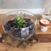 Verre fondu sur bois - Grand bol ouvert