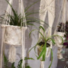 Manique en macramé - Petit pot simple
