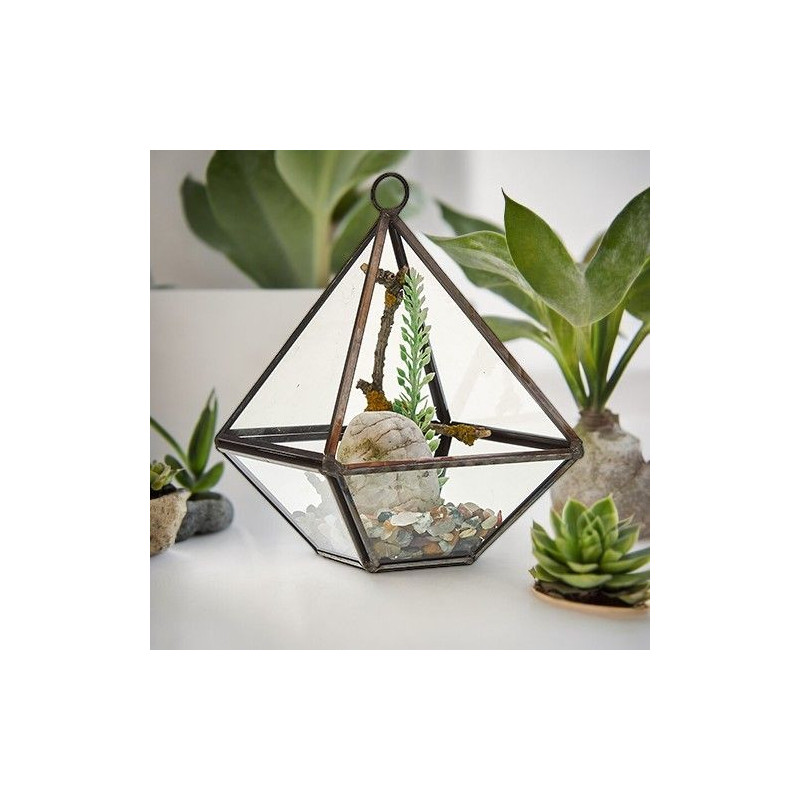 Terrarium en verre - Petit Diamant