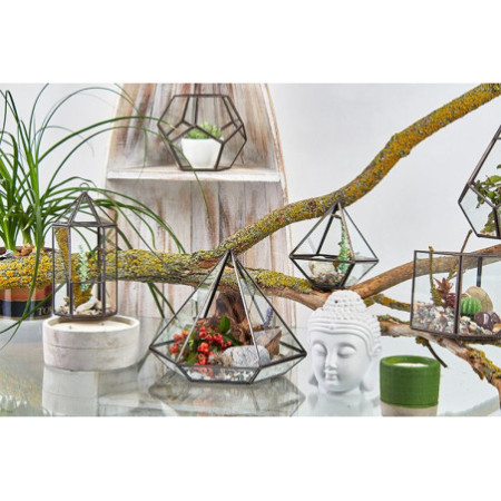 Terrarium en verre - Petit Diamant