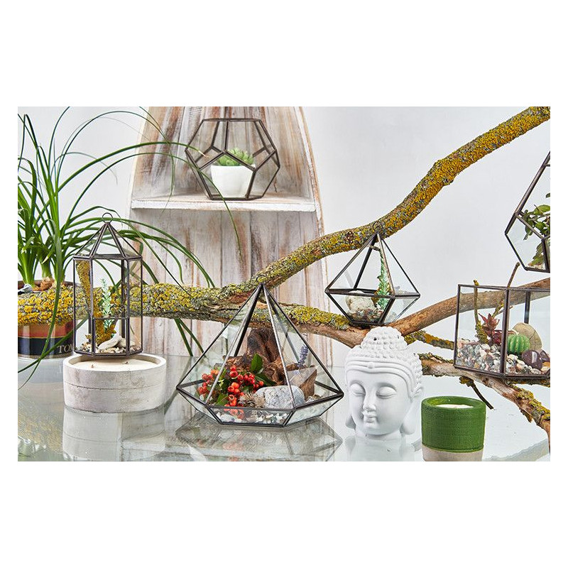 Terrarium en verre - Petit Diamant