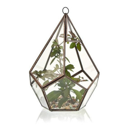 Terrarium en verre - Grande pyramide