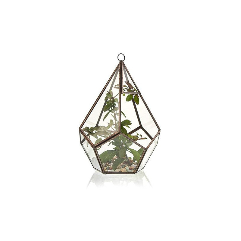 Terrarium en verre - Grande pyramide