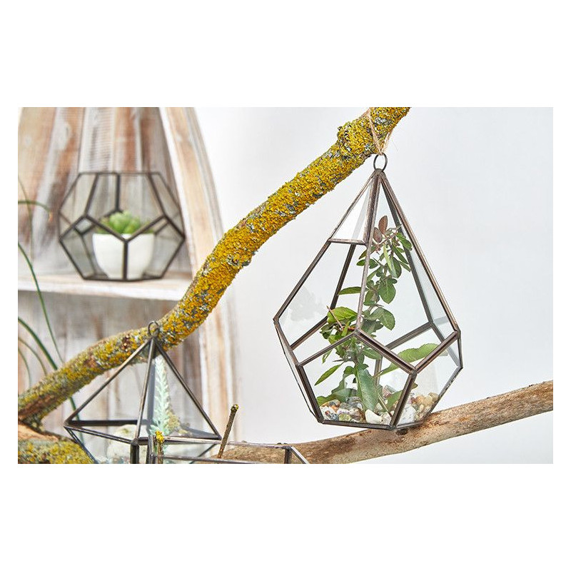 Terrarium en verre - Grande pyramide
