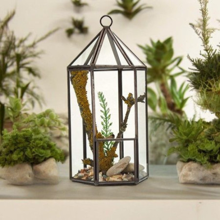 Terrarium en verre - Forme de lanterne