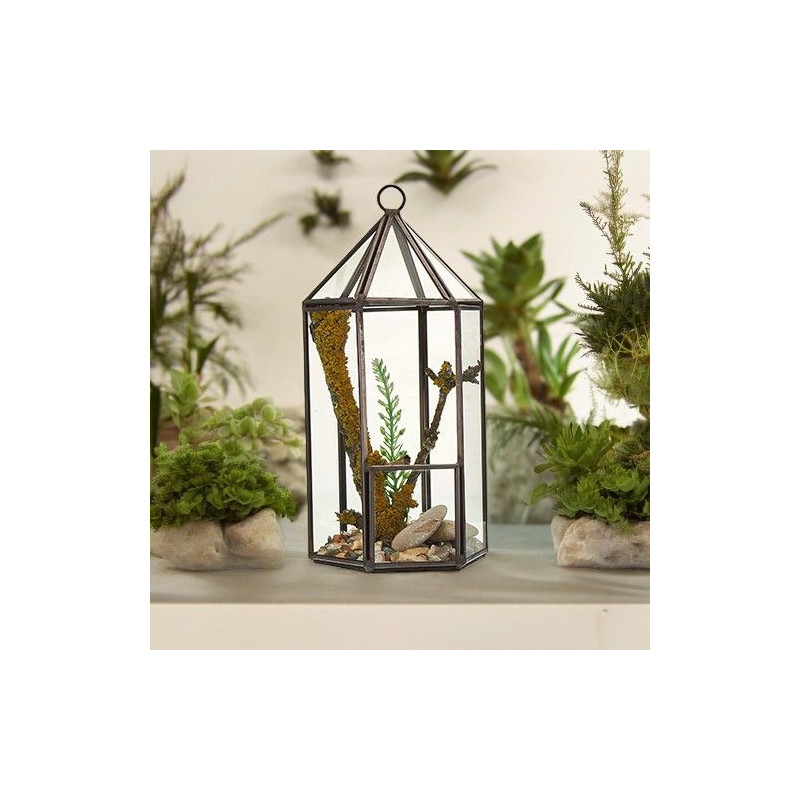 Terrarium en verre - Forme de lanterne