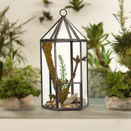 Terrarium en verre - Forme de lanterne