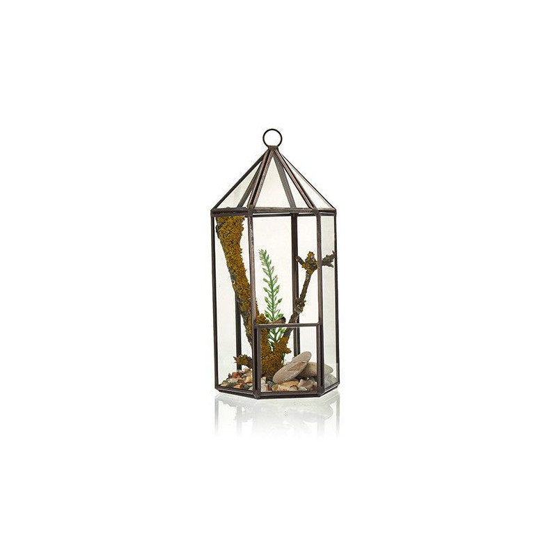 Terrarium en verre - Forme de lanterne