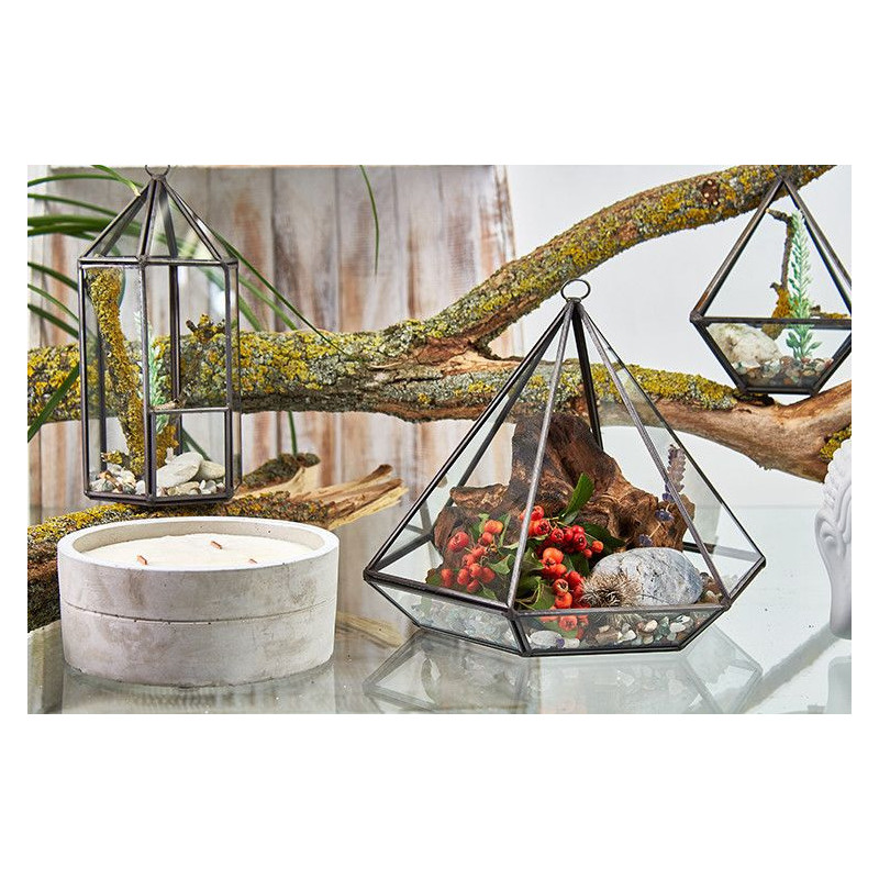 Terrarium en verre - Grand diamant