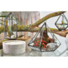 Terrarium en verre - Grand diamant