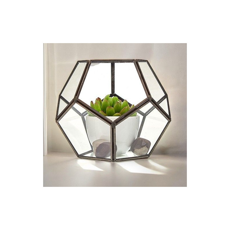 Terrarium en verre - Grand octogone