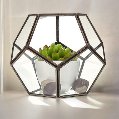 Terrarium en verre - Grand octogone