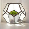 Terrarium en verre - Grand octogone