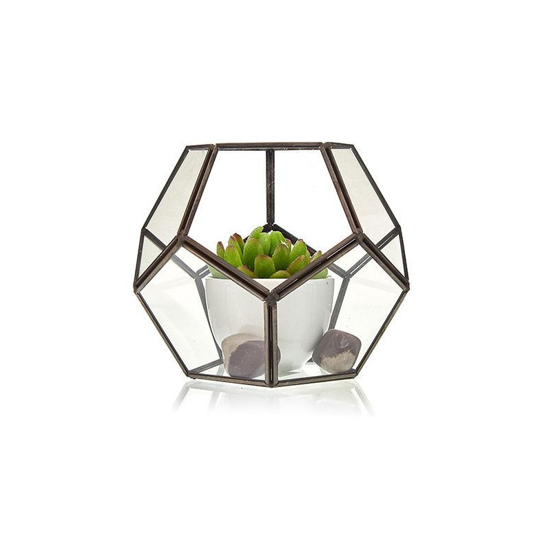 Terrarium en verre - Grand octogone