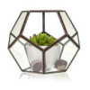 Terrarium en verre - Grand octogone