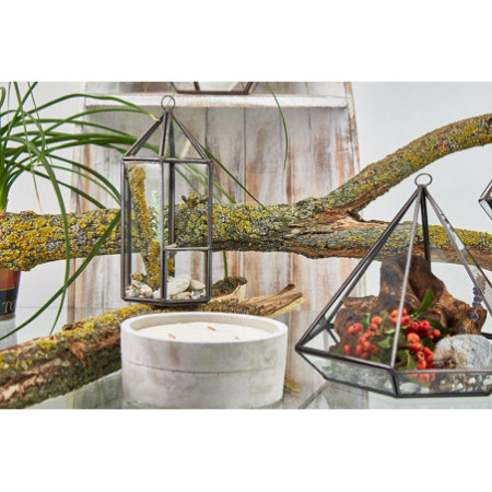 Terrarium en verre - Grand octogone