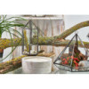Terrarium en verre - Grand octogone