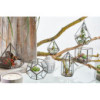 Terrarium en verre - Grand octogone