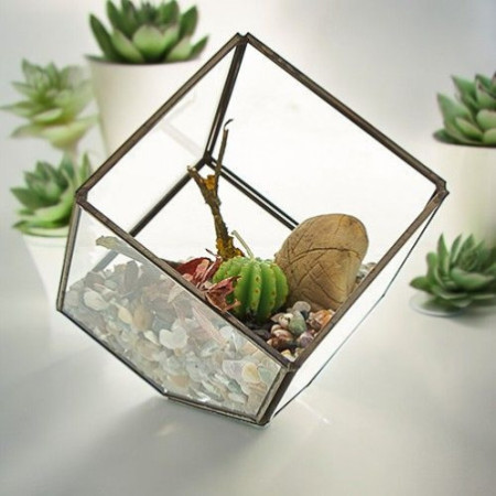 Terrarium en verre - Cube sur coin